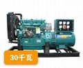 30 kW diesel generator set