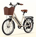 Pedal assist electric city bike with