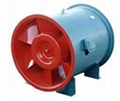 T40 fan 2