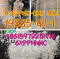 19883-41-1 H-D-PHG-OME HCL large sale UK Warehouse