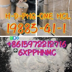 19883-41-1 H-D-PHG-OME HCL large sale UK Warehouse