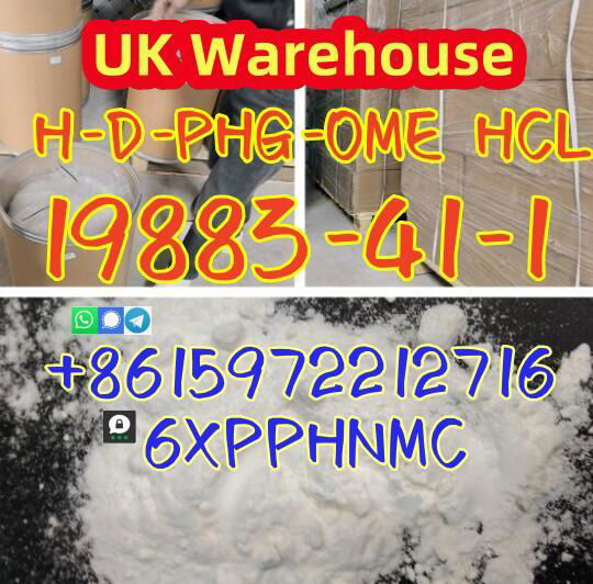 19883-41-1 H-D-PHG-OME HCL large sale UK Warehouse 2