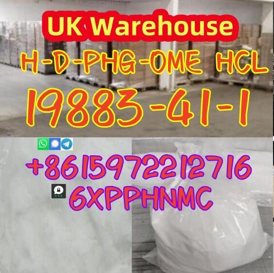 19883-41-1 H-D-PHG-OME HCL large sale UK Warehouse 3
