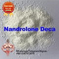Testosterone Enanthate Anabolic Steroids Raw Powder  CAS 315-37-7