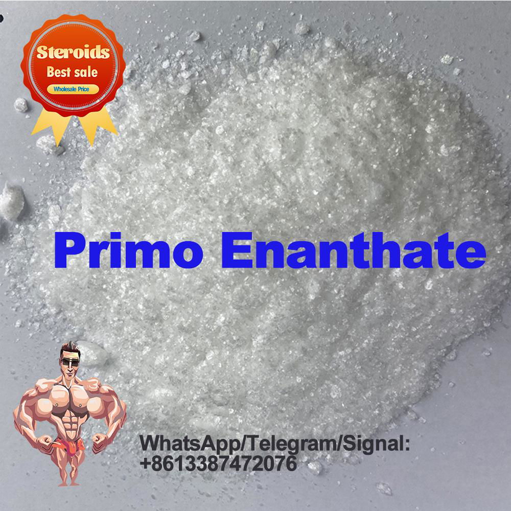 Testosterone Enanthate Anabolic Steroids Raw Powder  CAS 315-37-7 3