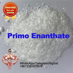 Testosterone Cypionate Powder / Oil 99% Purity CAS 58-20-8 Steroid