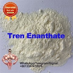 Trenbolone Enanthate raw powder 99% purity CAS 472-61-546