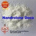 Methenolone acetate raw powder 99% puity CAS 434-05-9