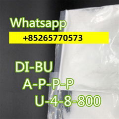 High Quality BMK/PMK A-D-BBCAS:207557-35-5Free Samp