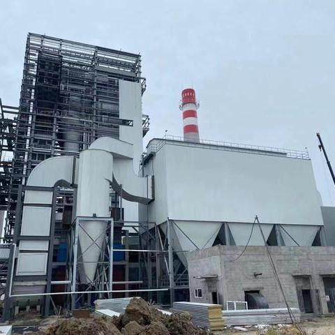 生物質鍋爐除塵器 生物質顆粒鍋爐布袋除塵器 鍋爐除塵器廠家