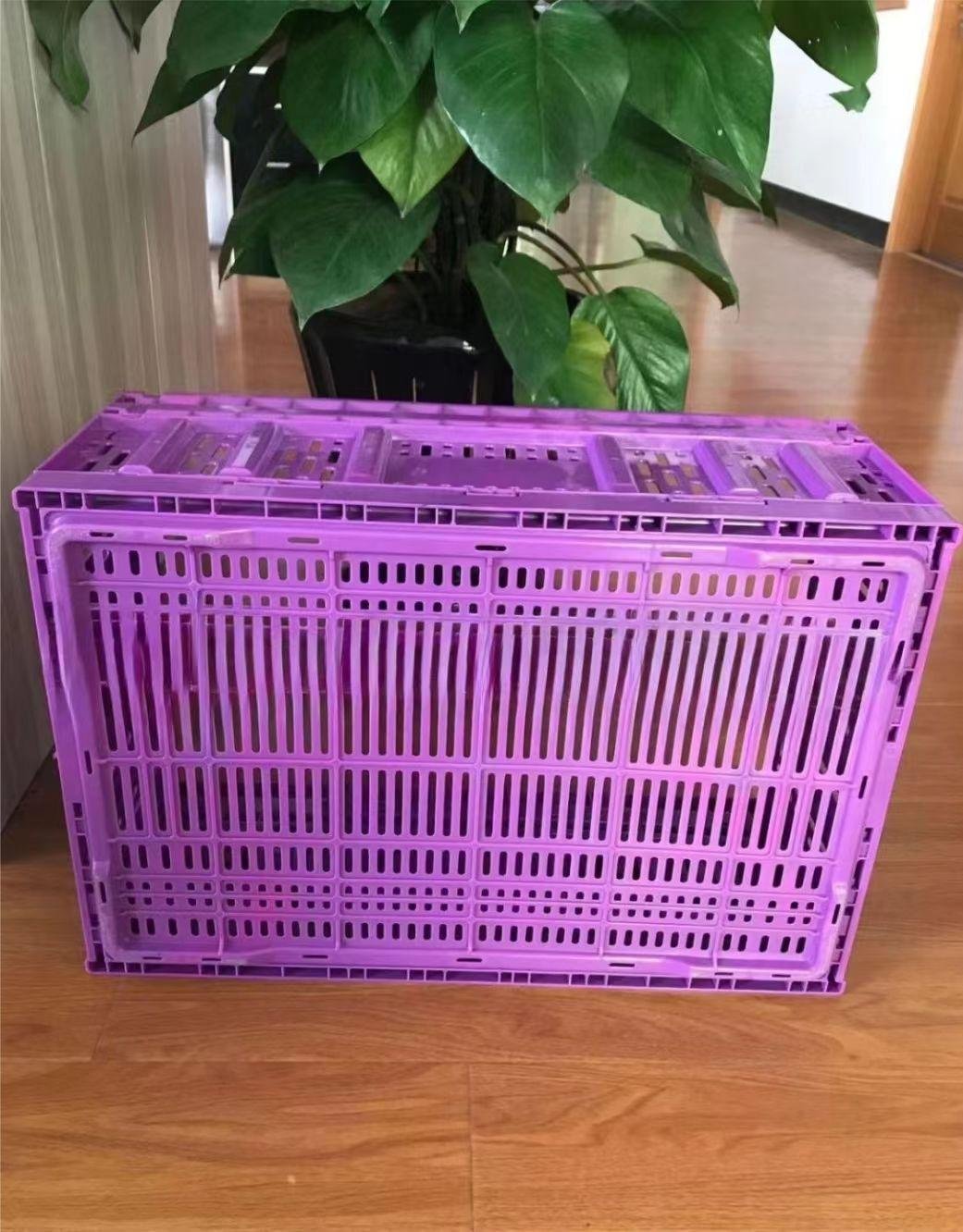 Taizhou professional factory customized high-quality plastic crate mold 2