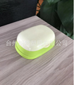 High quality waterproof drain plastic soap box mold with cover 3