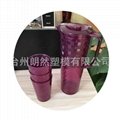 High quality large capacity food grade plastic crystal cup mold is designed by i