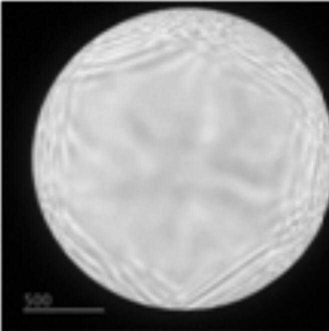 达济科仪300目钼网碳超薄铝膜TEM透射电镜能谱膜100枚