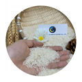 Vietnam White Rice 5% Broken 504 with low rice high quality