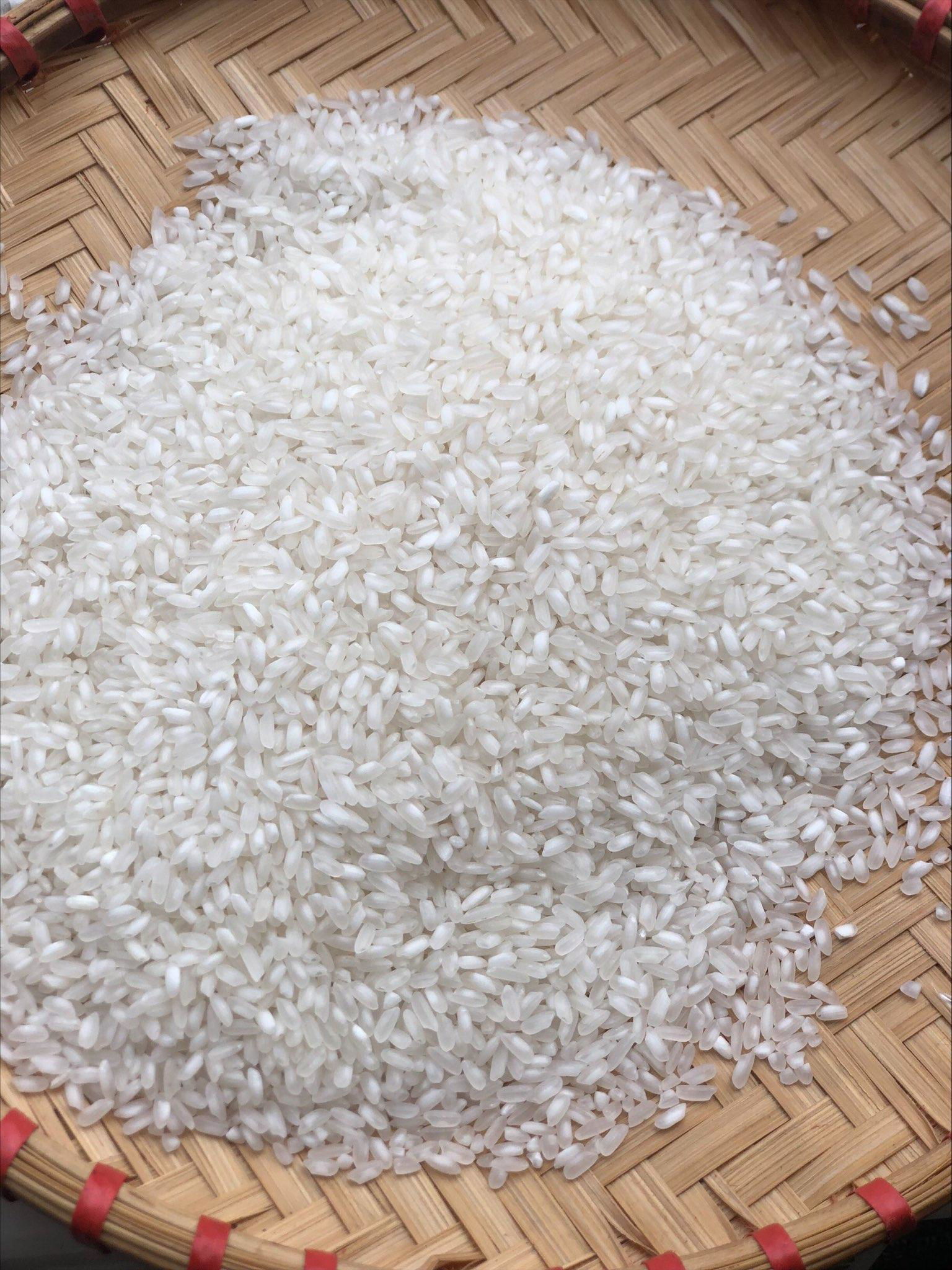 Vietnamese japonica short grain round rice is cheap 3