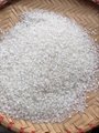 越南粳米短粒圆米价格便宜