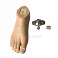 Waterproof and Non-Slip Sach Foot With Plastic Core and Adapter 1