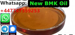 BMK Glycidic Acid (sodium salt) Oil