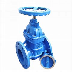 DIN3352 F4 Metal Seat Gate Valve