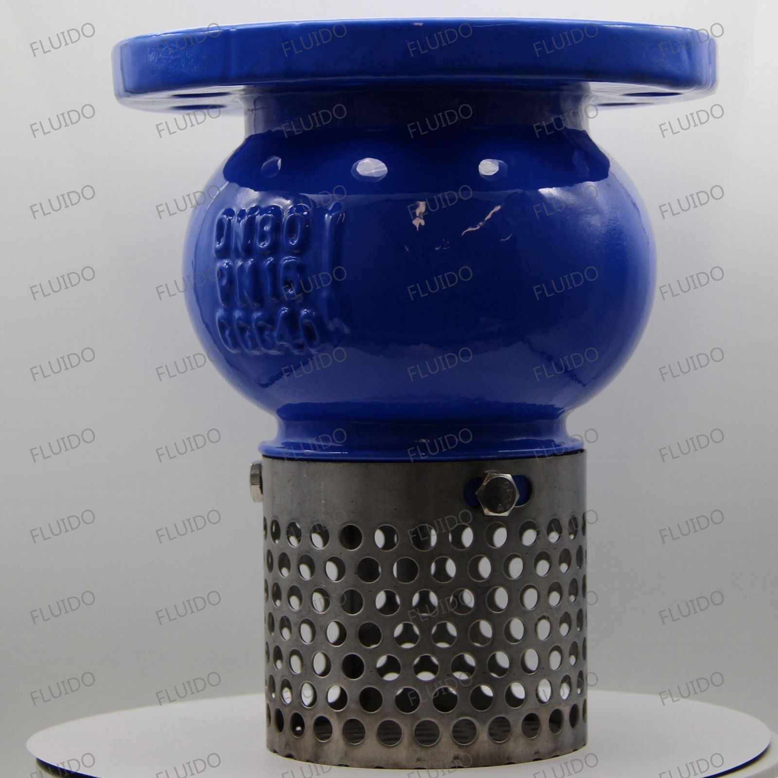 cast iron flanged foot valve with stainless steel screen 2