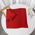 Women 100%Silk Thin Solid Color Scarf Monochrome Small Square Scarf Handkerchief 2