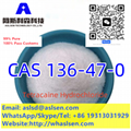 CAS 136-47-0 Hydrochloride HCl           Procaine Tetracaine