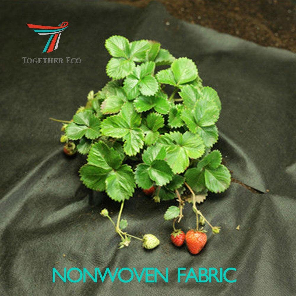 PP spunbnond non-woven agriculture non woven fabric manufacturer  4