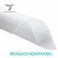 printed Polyester Spunlace Nonwoven Fabric Woodpulp For Wet Wipes