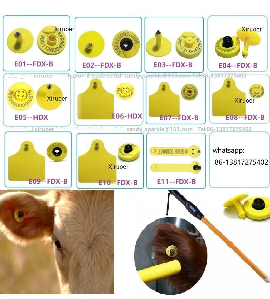 HDX (Half Duplex) Electronic Identification Tags for Livestock 5