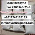 With Best Price Etonitazeyne 	cas 2785346-75-87 3