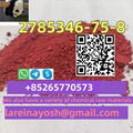 High purity low price 5CL-ADBB 2F-DCK