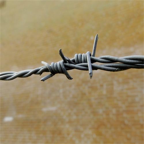 河南現貨雙股刺繩廠家供應漯河防護防盜網南陽圈地鐵絲網圍欄