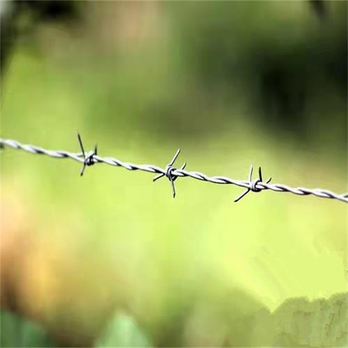 河南现货双股刺绳厂家供应漯河防护防盗网南阳圈地铁丝网围栏 4