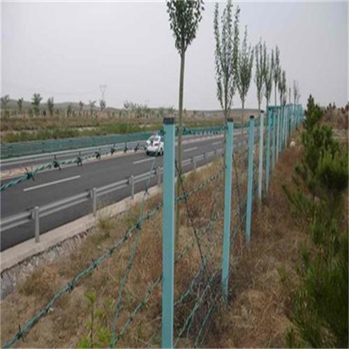 湖北现货双股刺绳厂家供应当阳铁刺网大冶刺丝围网 4