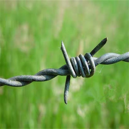 湖南现货双股刺绳厂家供应枣阳围墙刺铁丝常德围墙刺网防盗网 4