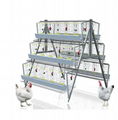 Best Price Chicken House Eggs Layer Cage