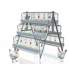 Best Price Chicken House Eggs Layer Cage For Poultry Farm Sale