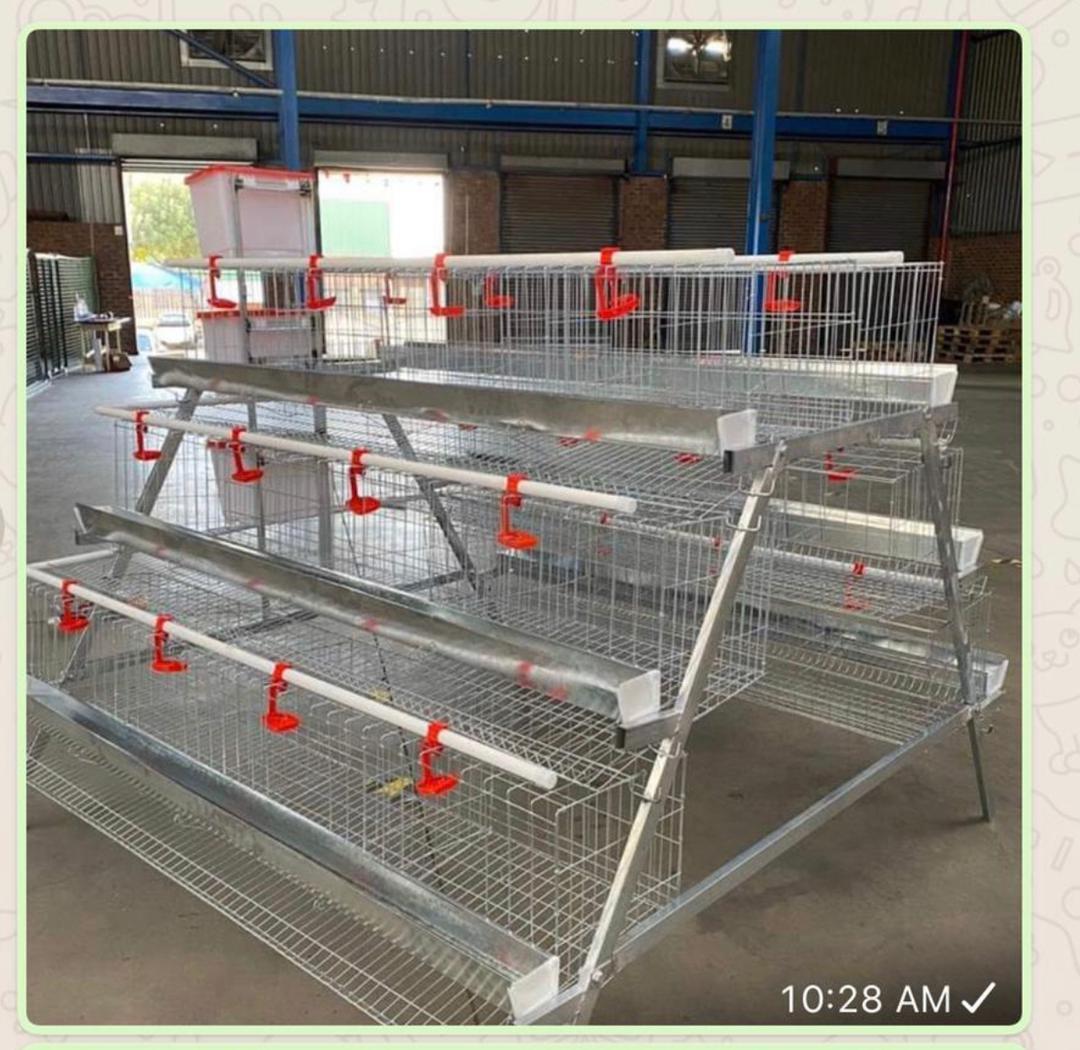 Best Price Chicken House Eggs Layer Cage For Poultry Farm Sale 4