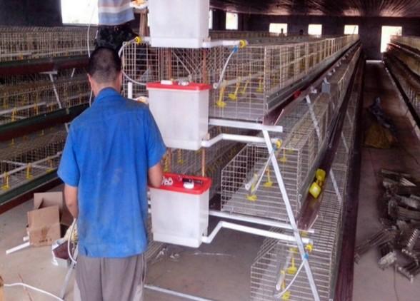 Best Price Chicken House Eggs Layer Cage For Poultry Farm Sale 5