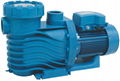 AK Series plastic pool pumps for