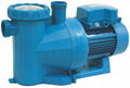 AU Series plastic swimming pool pumps