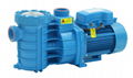 ABS Series plastic swimming pool pumps for filtration\Hot springs