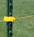 Poly Wire