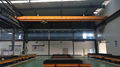 New LD single girder overhead crane