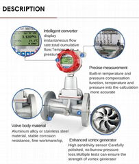 Precession Vortex Flow Meter