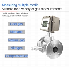 Gas Turbine Flow Meter