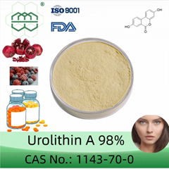 Urolithin A powder manufacturer CAS No.:1143-70-0 98%  purity min. for supplemen