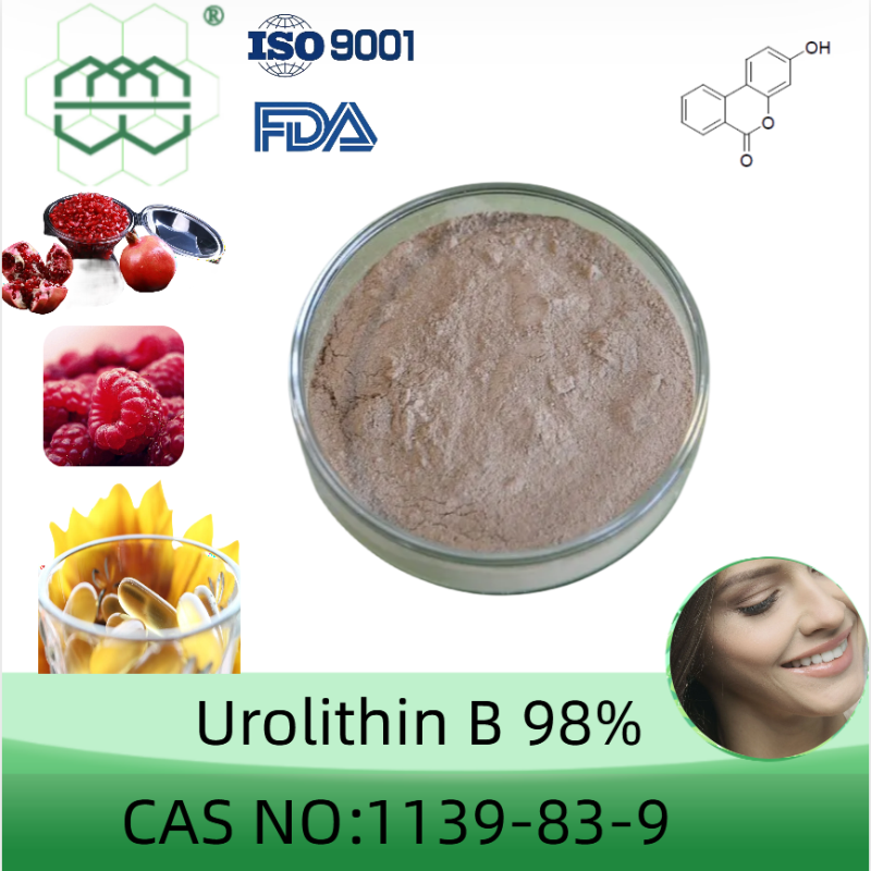 Urolithin B powder manufacturer CAS No.:1139-83-9 98%  purity min. for supplemen