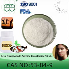 Beta-Nicotinamide Adenine Dinucleotide(NAD+) powder manufacturer CAS No.:53-84-9